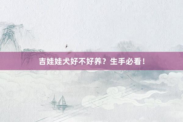 吉娃娃犬好不好养？生手必看！